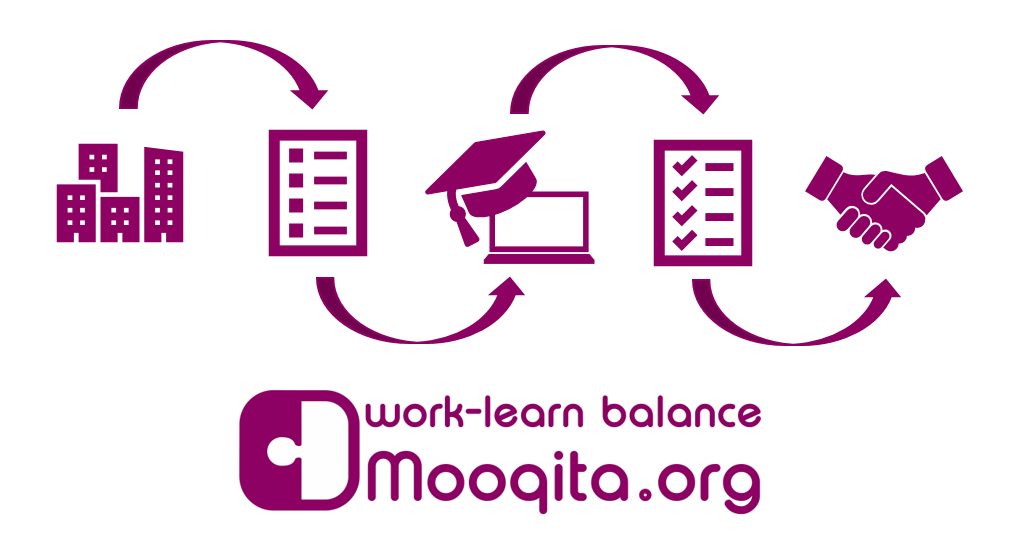 The Mooqita tasks process in brief.